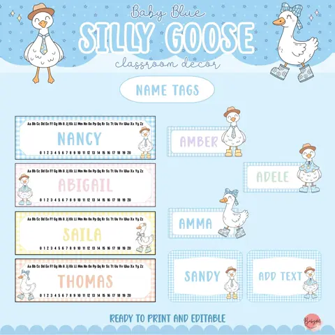 Silly Goose Desk Tags Editable Preppy Strawberry Name Plates Coquette Classroom Labels