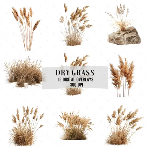 Dry Grass Photo Overlays Rustic Photoshop Overlays PNG Digital Download Set