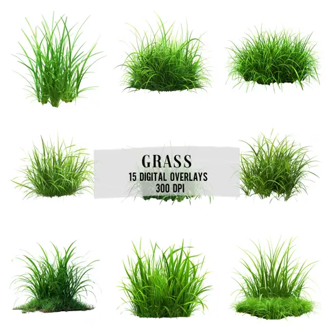 Green Grass Photo Overlays Realistic PNG Texture Pack for Photoshop Photo Editing